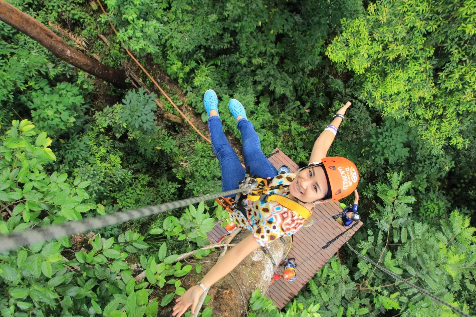 zipline